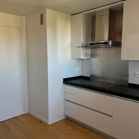 Penthouse 100m2 Avec 2 Et Terrasse 80m2 公寓 戛纳